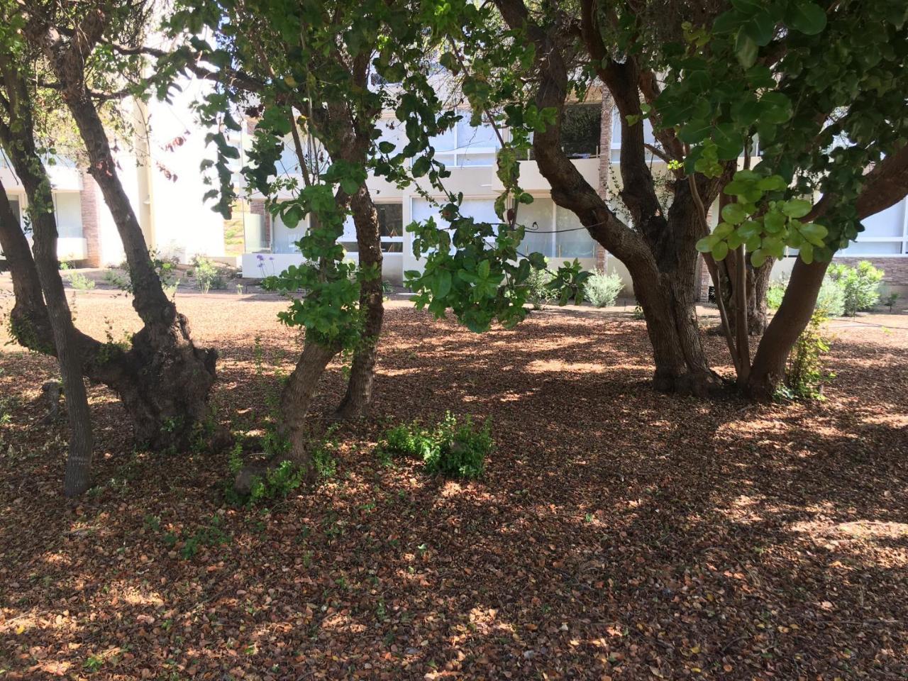 Apartamento Lomas De 3, Bosque Y Playa *